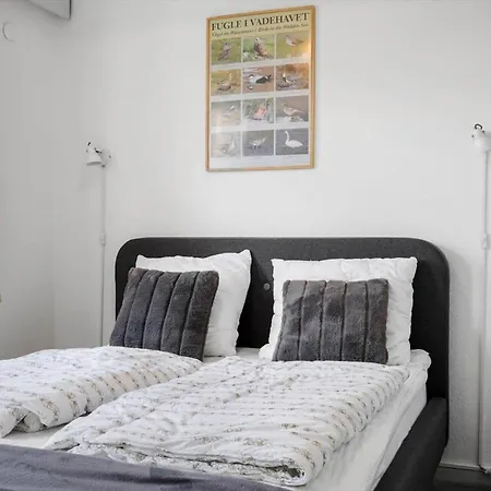 Appartement 0407-romo-vestergade-225-app-9 *